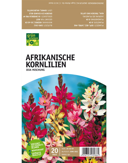 Afrikanische Kornlilie