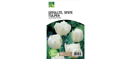 Gefüllte späte Tulpen