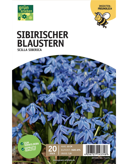 Blausternchen