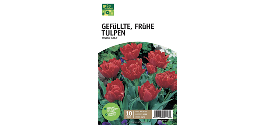 Gefüllte frühe Tulpen 