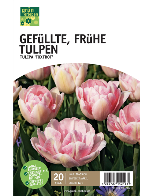 Frühe Tulpen, gefüllt