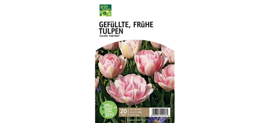 Frühe Tulpen, gefüllt