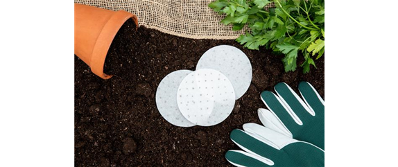 Grüner Daumen trifft Gartenjahr