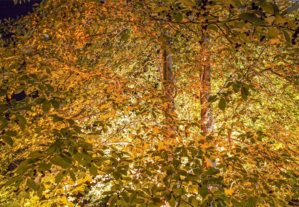 LICHTQUELLEN MACHEN DEN GARTEN SCHöNER!