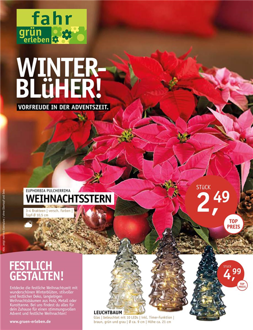 Winterblüher!